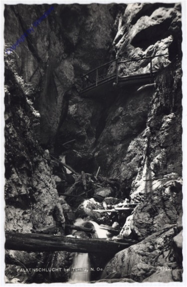 Türnitz, Falkenschlucht