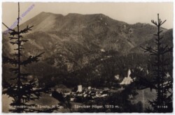 Türnitz, Türnitzer Höger