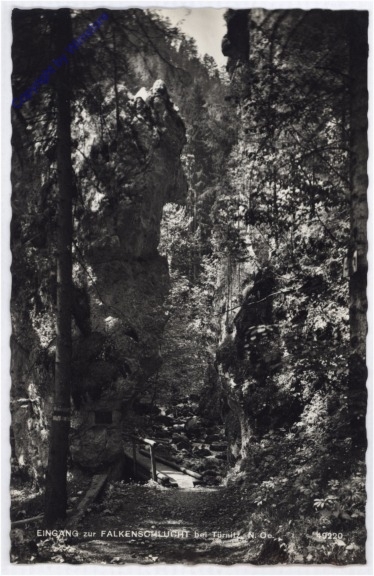 Türnitz, Eingang zur Falkenschlucht