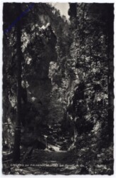 Türnitz, Eingang zur Falkenschlucht