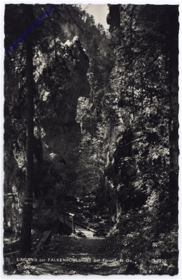 Türnitz, Eingang zur Falkenschlucht