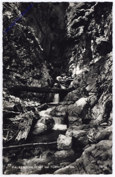 Türnitz, Falkenschlucht