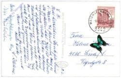 Waidhofen an der Ybbs, Schloss