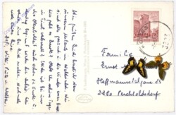 Weinzierl, Burgruine Hartenstein