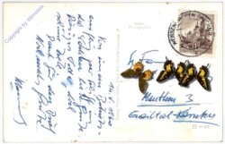 Weissenkirchen, Ansicht