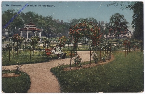 ak186716 Wiener Neustadt, Rosarium im Stadtpark