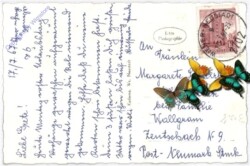 Wiener Neustadt, Multiansicht