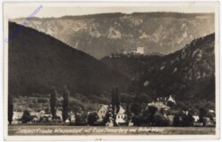 Winzendorf, mit Ruine Emmerberg und Hoher Wand