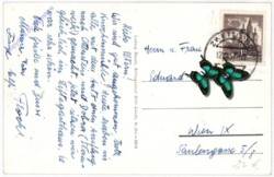 Zwettl, Stiftskirche