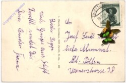 Zwettl, Stift, Inneres der Stiftskirche