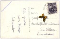 Zwettl, Stift, Inneres der Stifttskirche