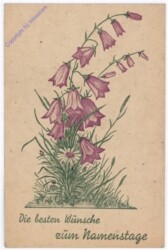 Glockenblumen, Namenstag