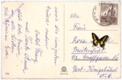 ak186941a Stiefmütterchen, Namenstag