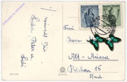 ak186966a Nelken, Namenstag