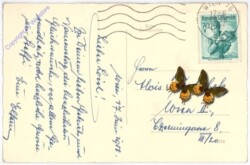 ak186976a Rosen, Namenstag