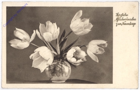 ak187025 Tulpen in Vase, Namenstag