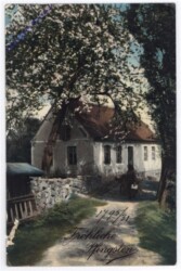ak187038 Motiv
