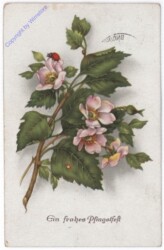 ak187040 Blühender Zweig