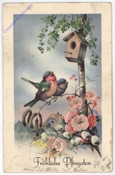 ak187041 Vögel am Zweig