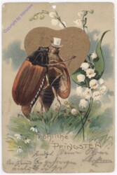 Maikäfer