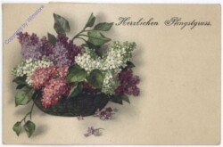 ak187043 Flieder im Korb