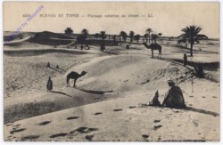 ak187061 Paysage saharien au desert