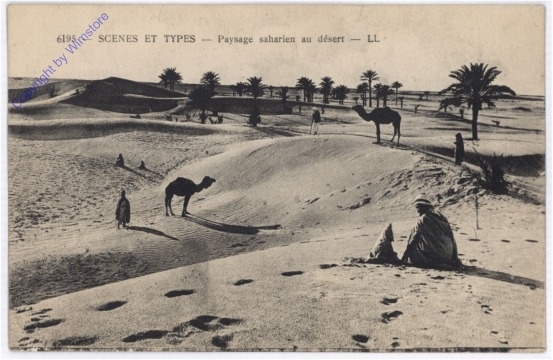 ak187061 Paysage saharien au desert