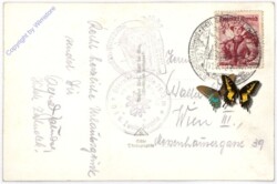 Großglockner, Ansicht