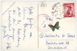 Großglockner, vom Steinbergkogel aus