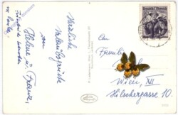 Großglockner, Obstansersee u. Hütte