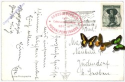 ak187210a Großglockner, Edelweißhütte