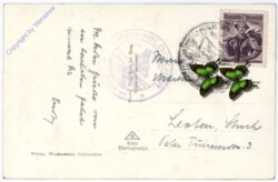 Großglockner, Hochalpenstrasse