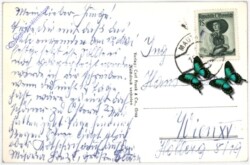 Kötschach-Mauthen, Valentinalpe mit Rauch, Gams und Mooskofel