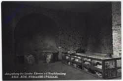Magdalensberg, Ausgrabung des Landes Kärnten