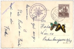 Maltatal, Hochsteg