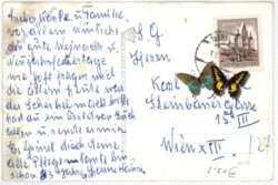 ak187441a Maria Saal, Multiansicht