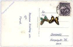 Maria Wörth, Kirche