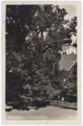 Millstatt, 1000jährige Linde