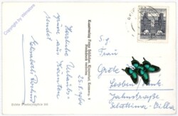 Reifnitz, Multiansicht
