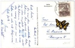 Saalbach-Hinterglemm, Ortsansicht