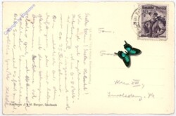 ak187608a Saalbach-Hinterglemm, Ansicht