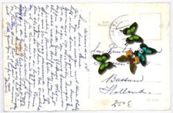 Saalbach-Hinterglemm, Ortsansicht