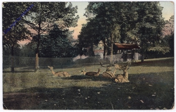 Nijmegen, Kronenburgerpark