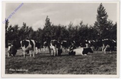 Fries, Landschap