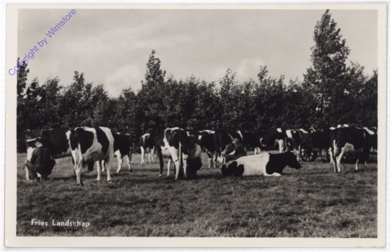 Fries, Landschap