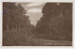 Hilversum, Boschrand Spanderswoud