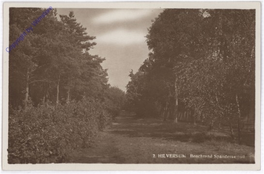 Hilversum, Boschrand Spanderswoud