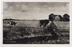 ak187813 Fries Landschap