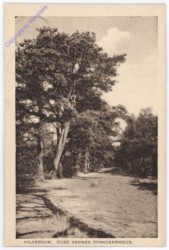 ak187814 Hilversum, Oude dennen Spanderswoud