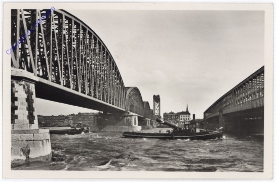 Rotterdam, Maasbruggen
